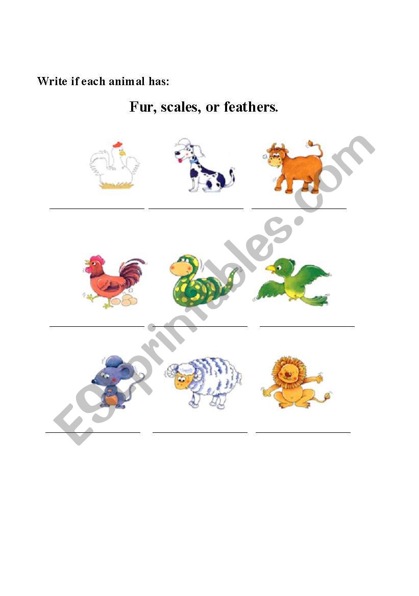 FUR, SCALES OR FEATHERS worksheet