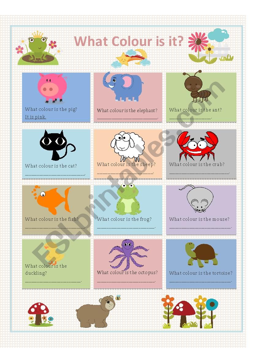 Colours and Animals worksheet