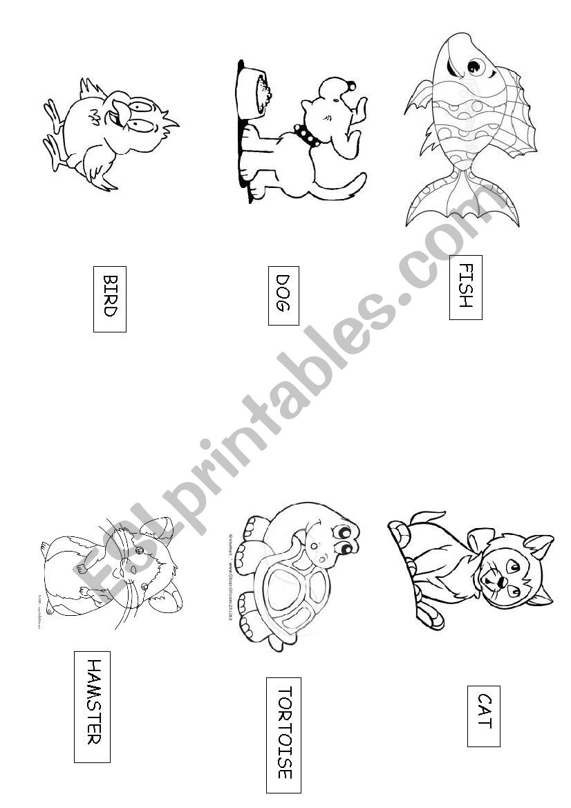 Pets colouring page worksheet