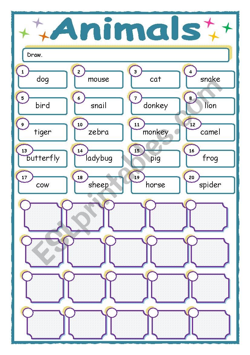 Animals worksheet