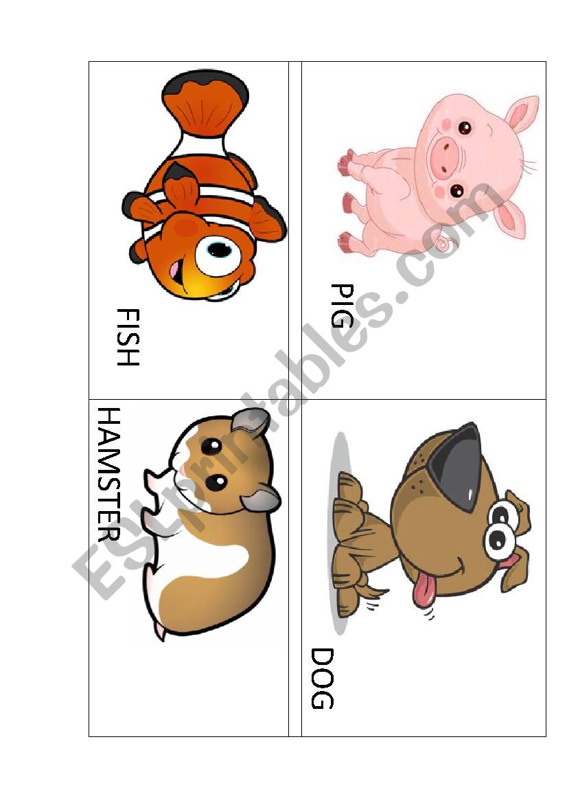 Flash cards  worksheet