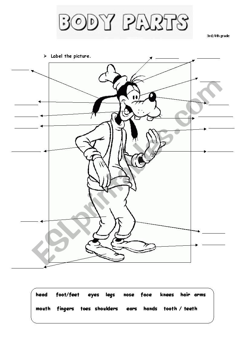 Body Parts worksheet