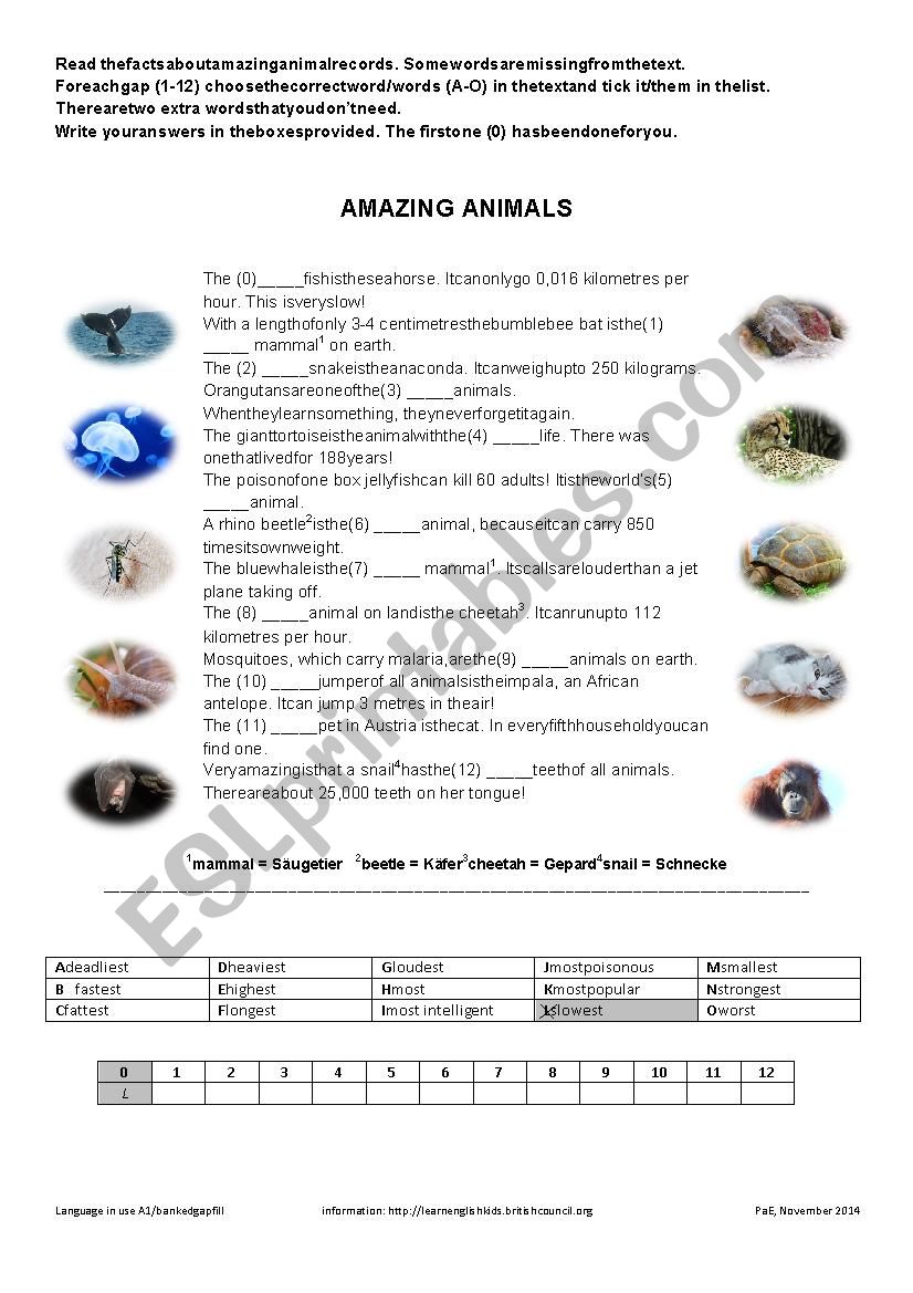 Amazing animals worksheet