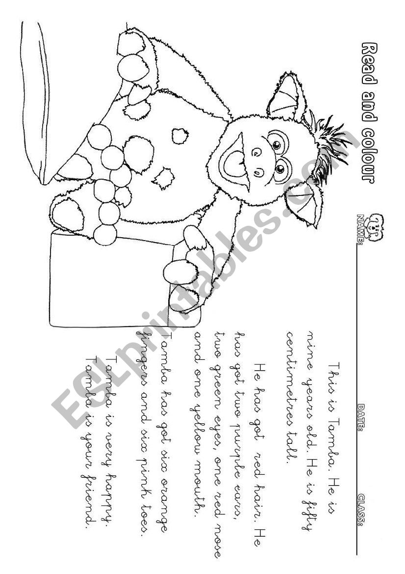 Read and Colour worksheet