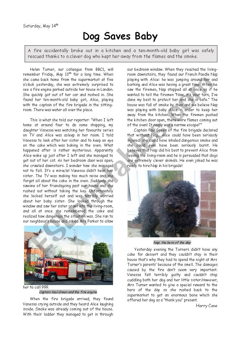 Dog saves Baby worksheet