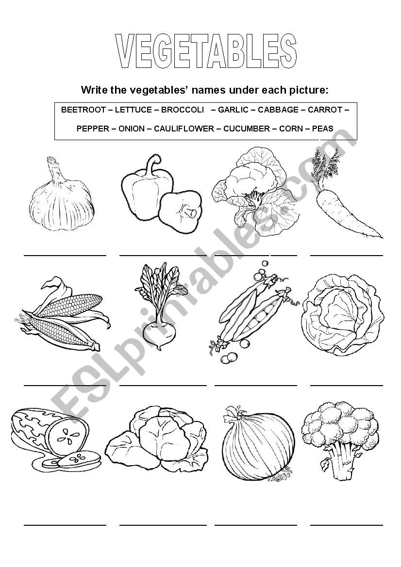 Vegetables worksheet