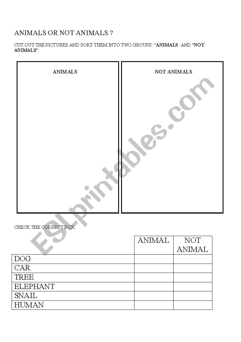 Animal - Not an Animal worksheet