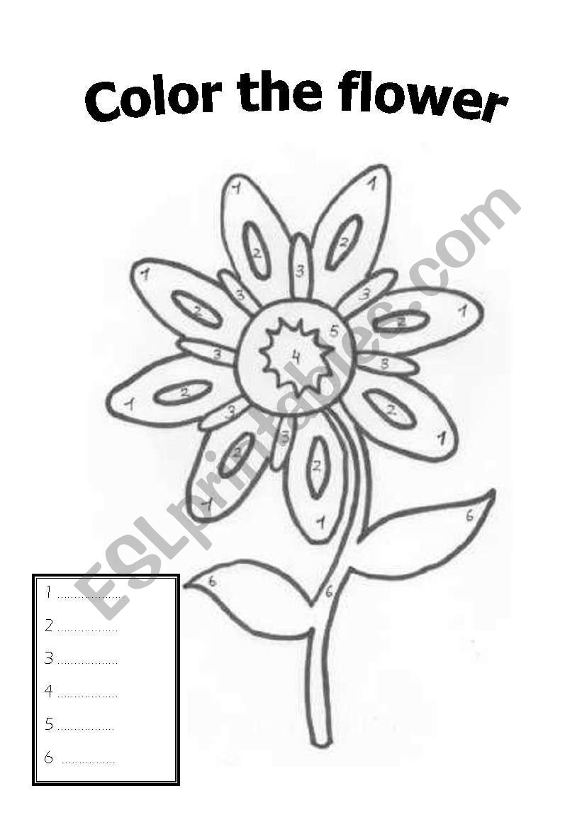 Color the flower worksheet