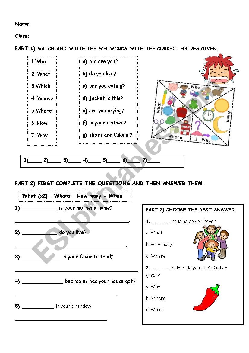 wh- questions  worksheet