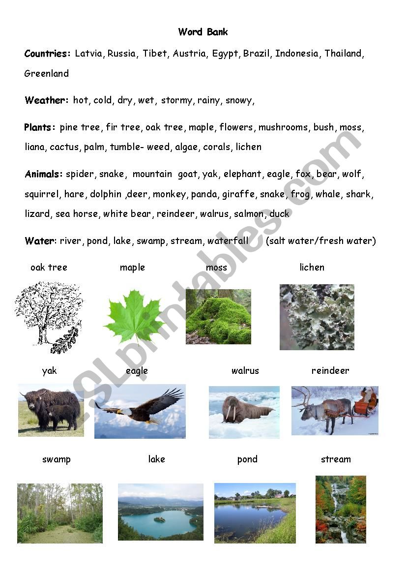 Word Bank for Science worksheet