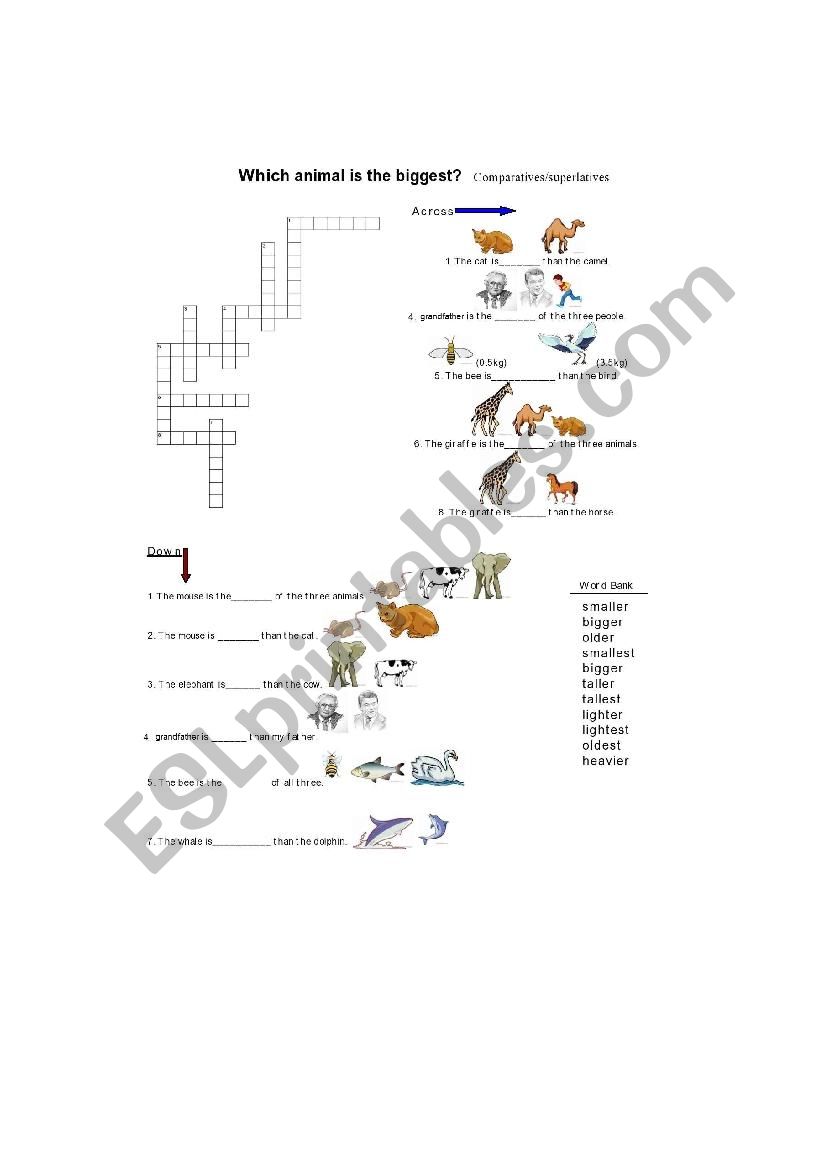 comparative & superlative worksheet