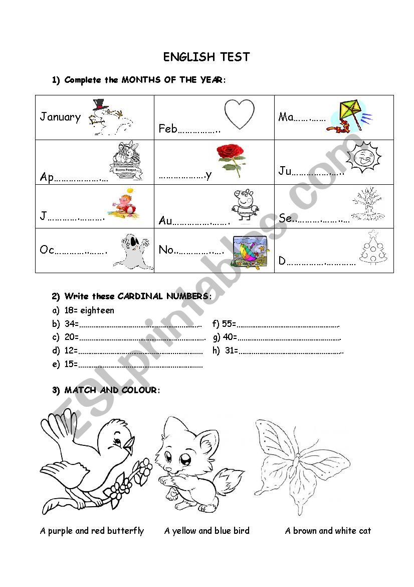 basic English  young learners worksheet