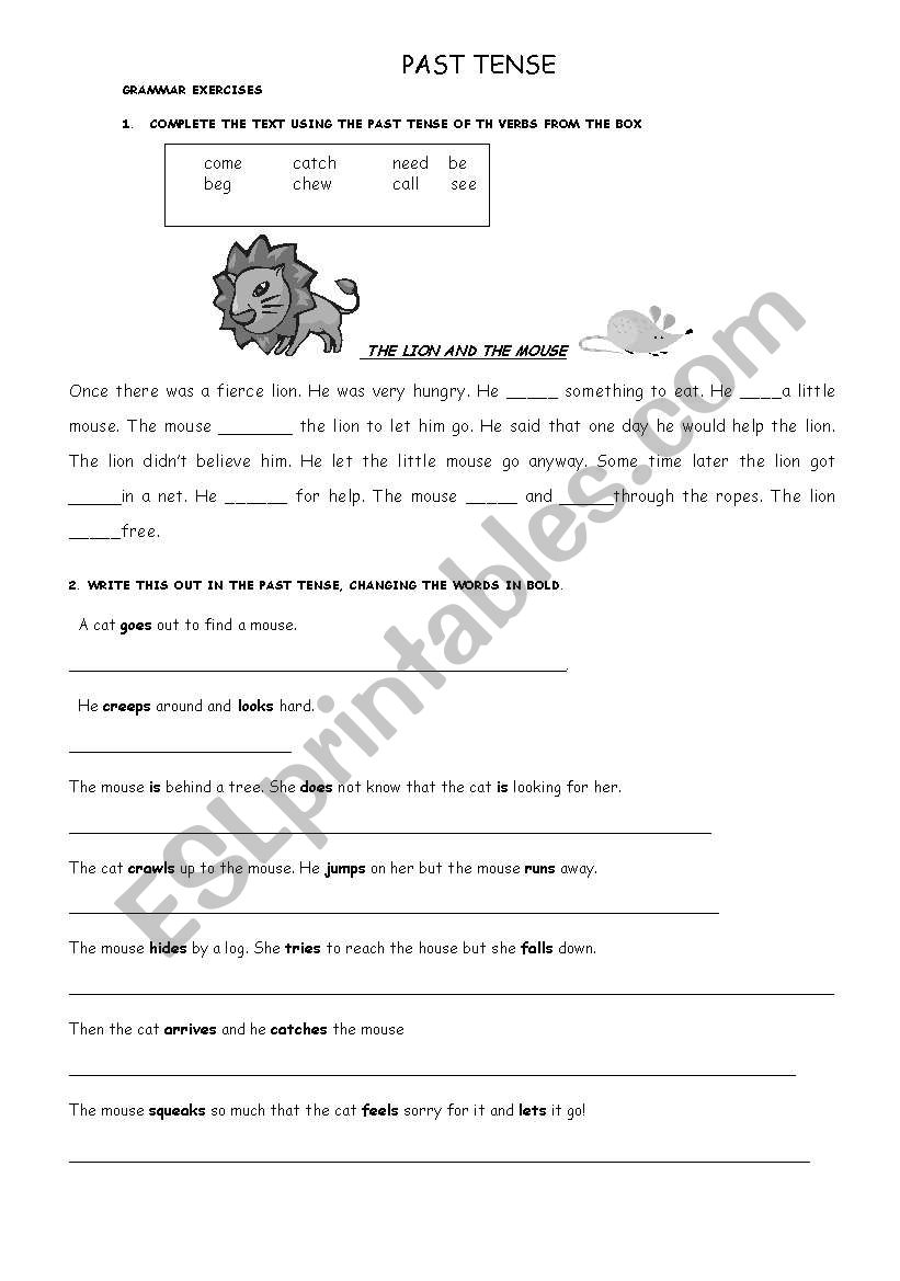 PAST TENSE WORKSHEET worksheet