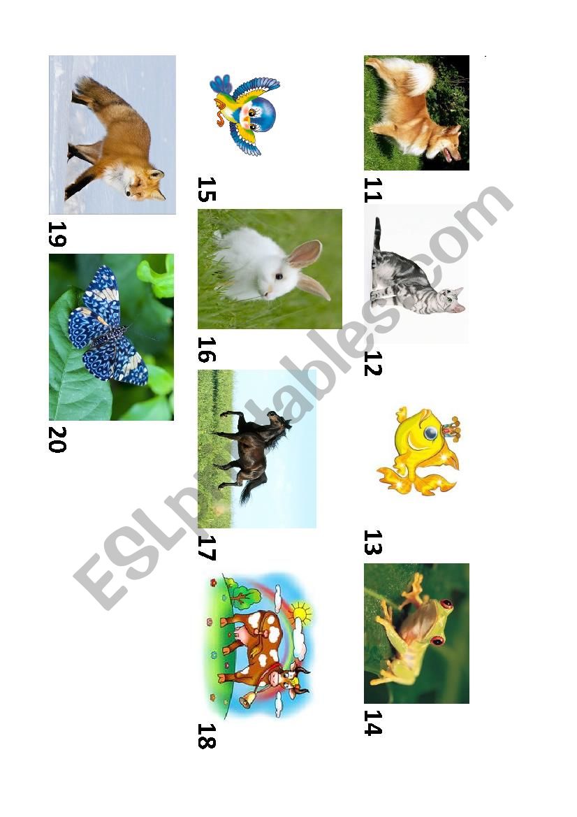 Numbers 11-20, animals worksheet