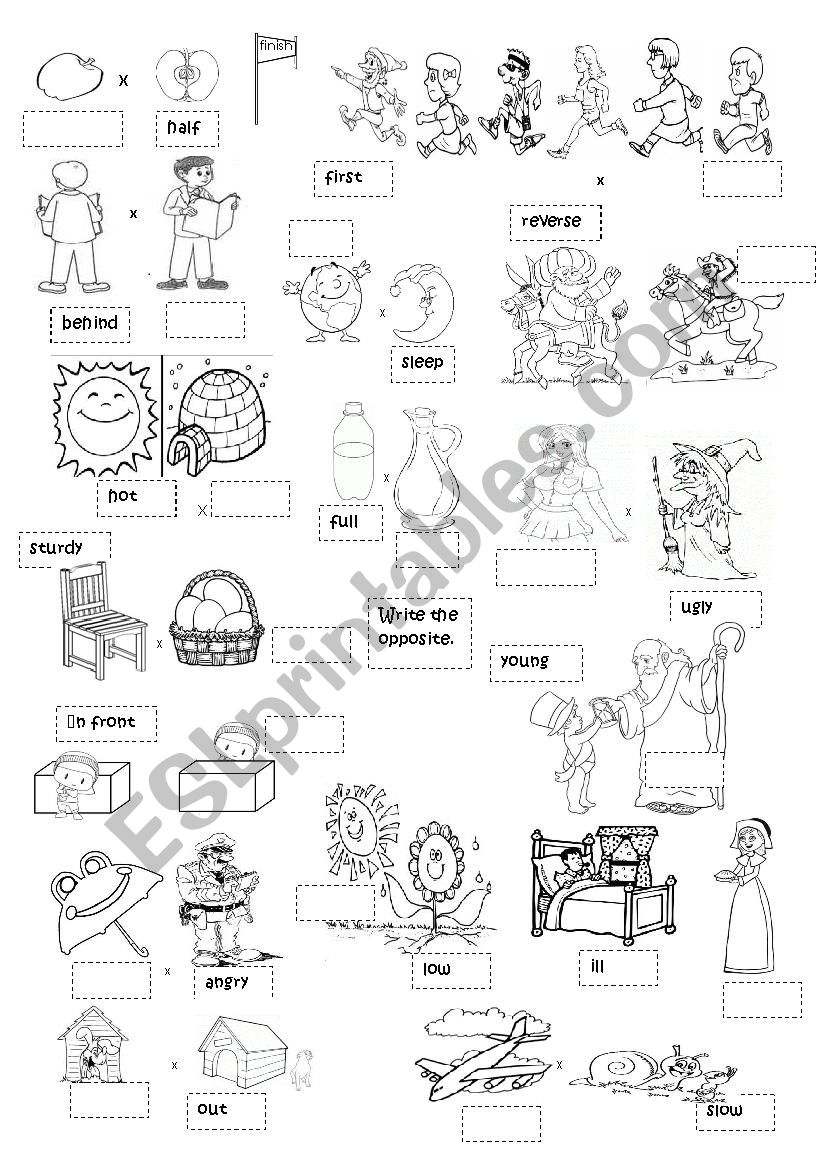 opposite worksheet