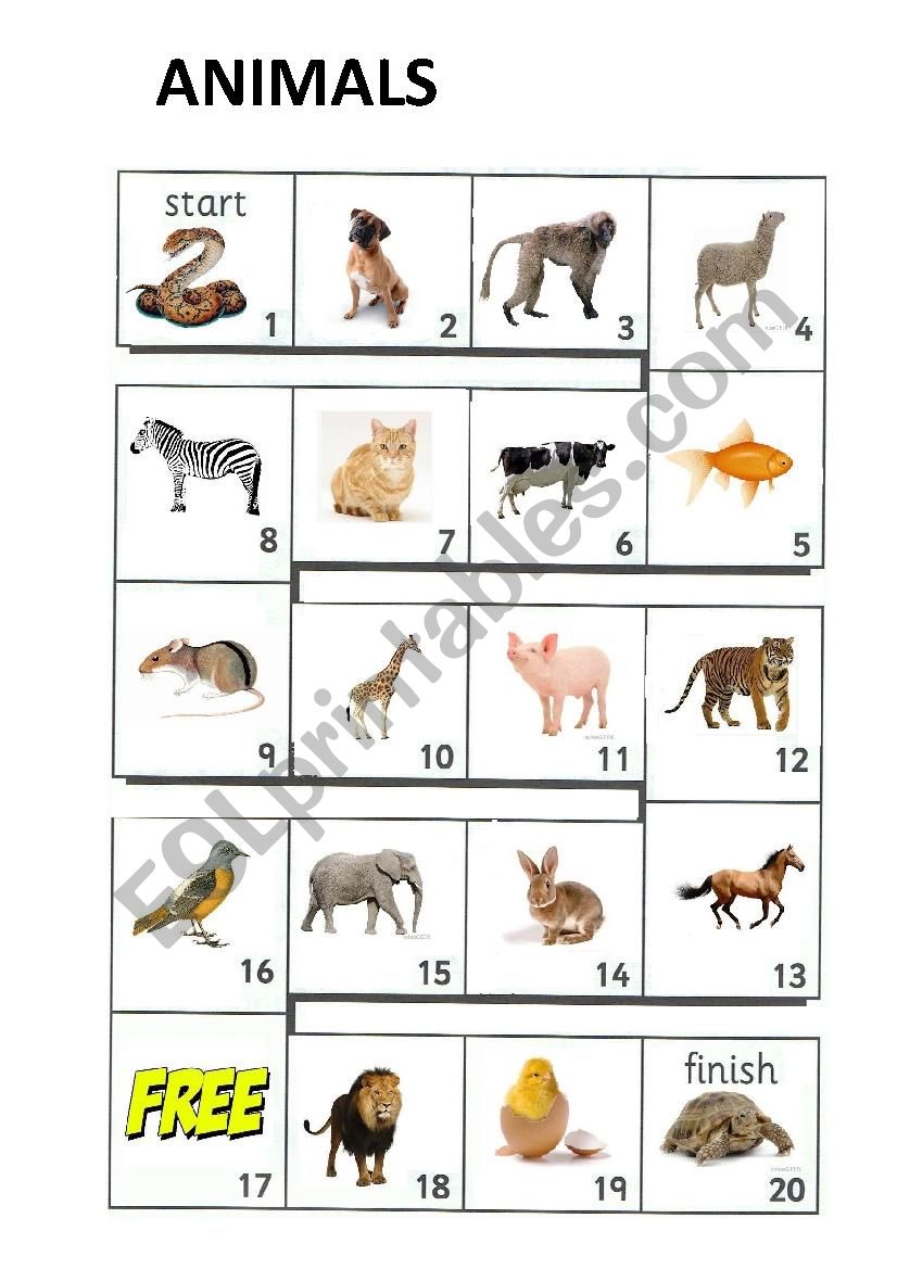 Board game: Animals worksheet