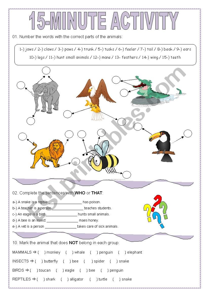 15-minute activity worksheet