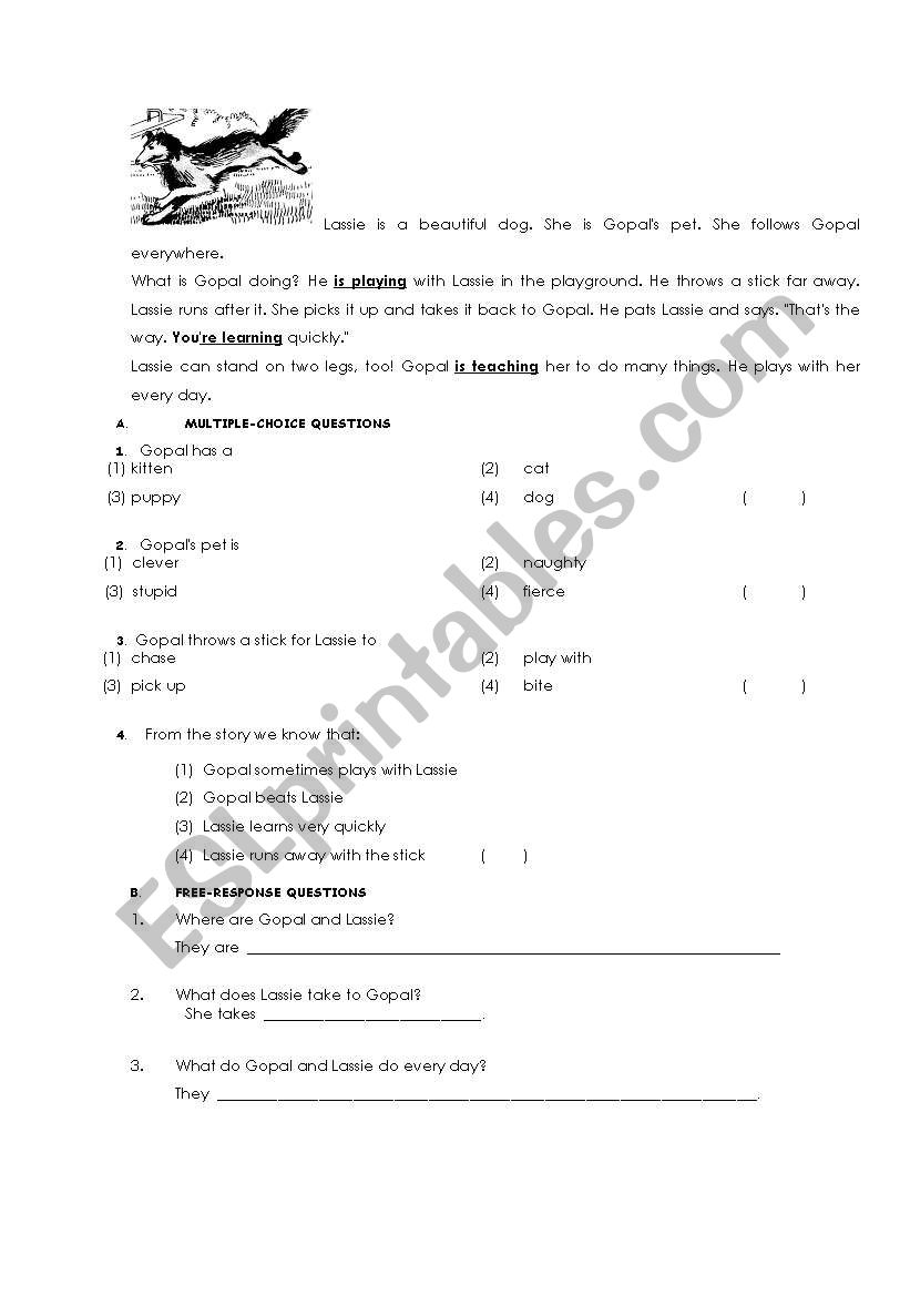 LASSIE worksheet