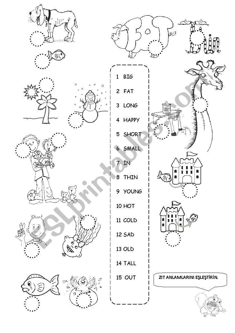 Physical Appearance worksheet