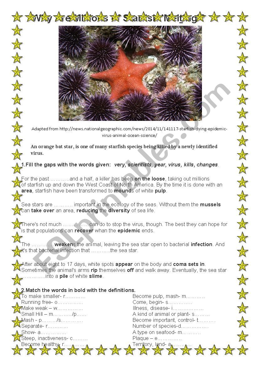 Starfish worksheet