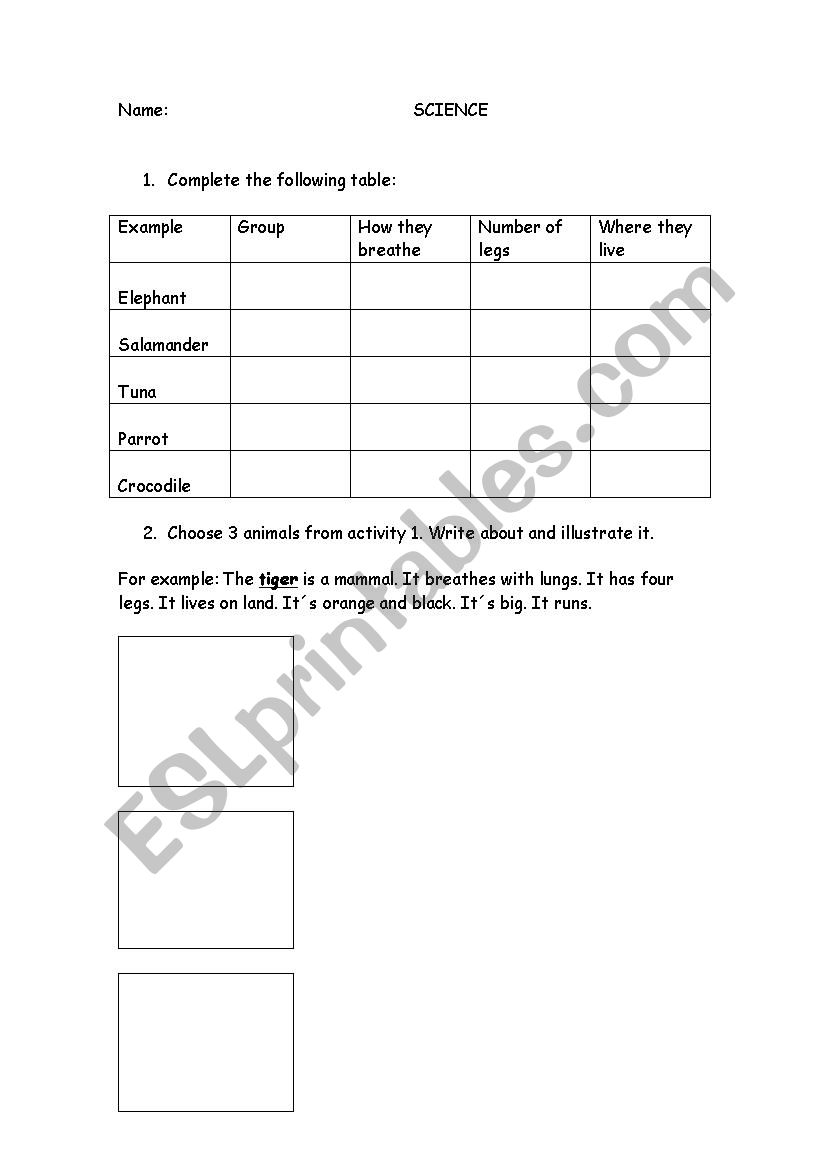 Vertebrates worksheet