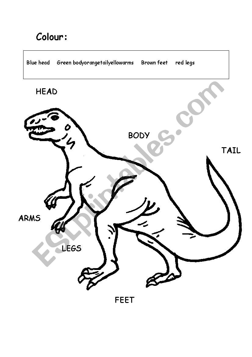 Colour the body worksheet