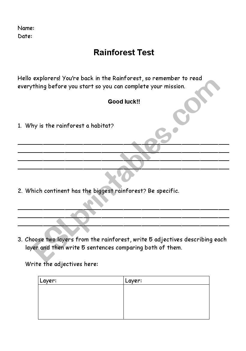 rainforest test worksheet