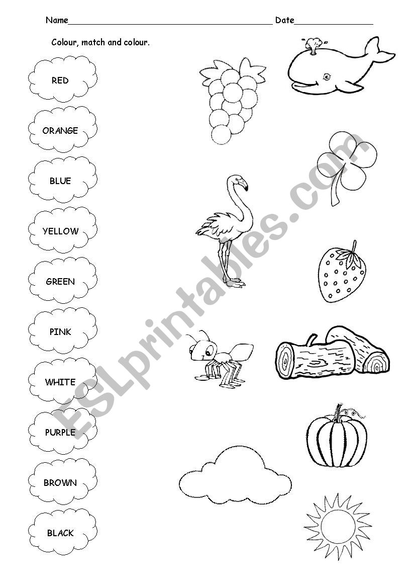 Colours worksheet