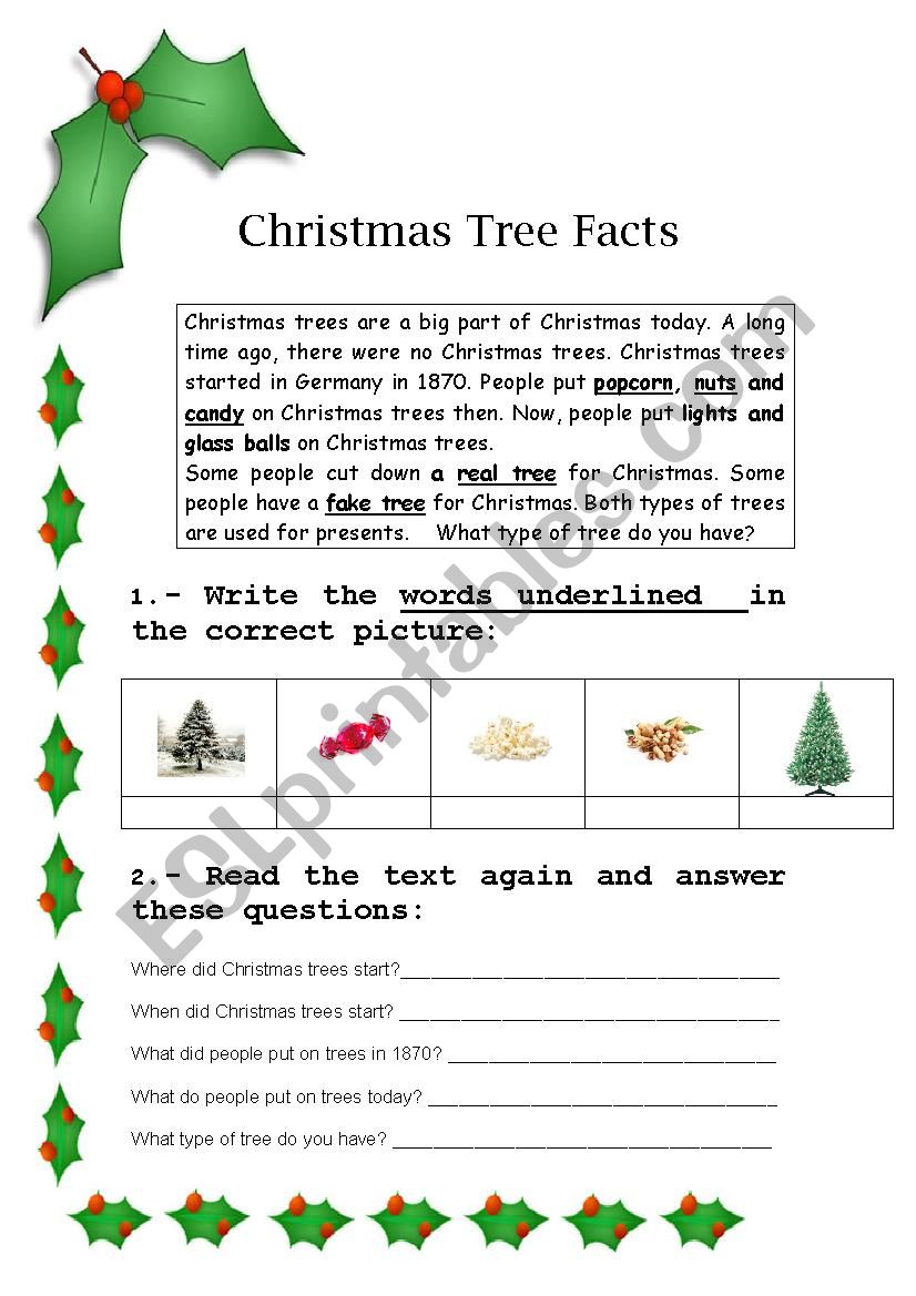 Christmas reading: chritsmas tree