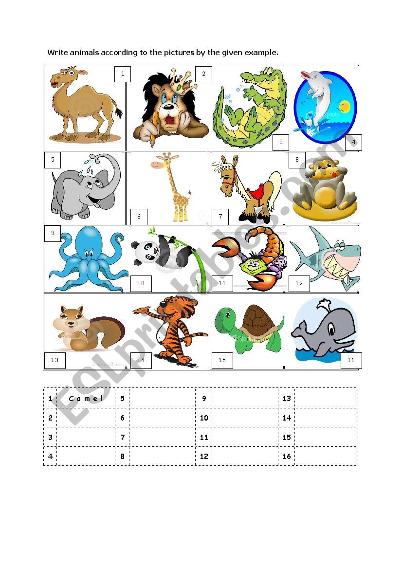 animals worksheet