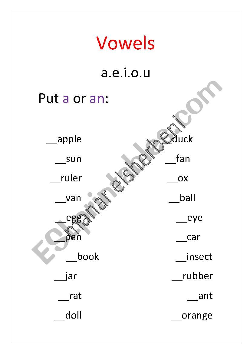 a, an worksheet