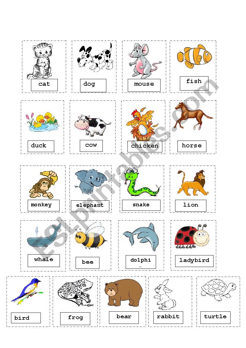 animals cutout - ESL worksheet by iremm