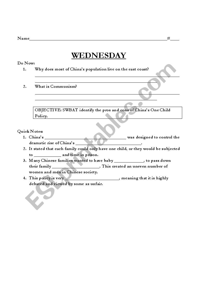 One Child Policy Debate worksheet