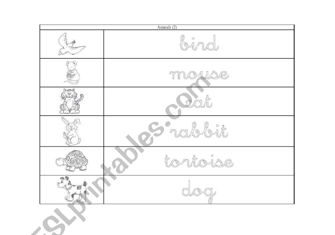 Animals worksheet