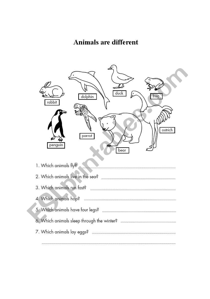 Animals are different worksheet