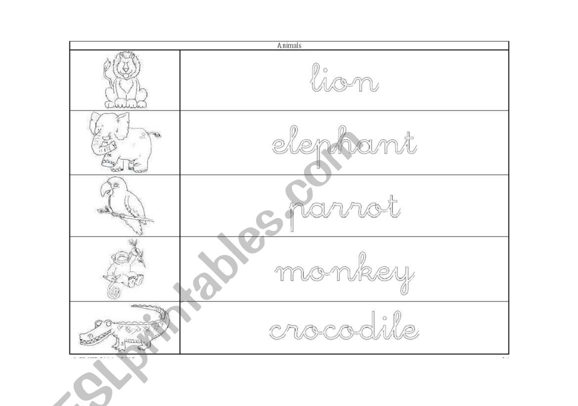 Wild animals worksheet