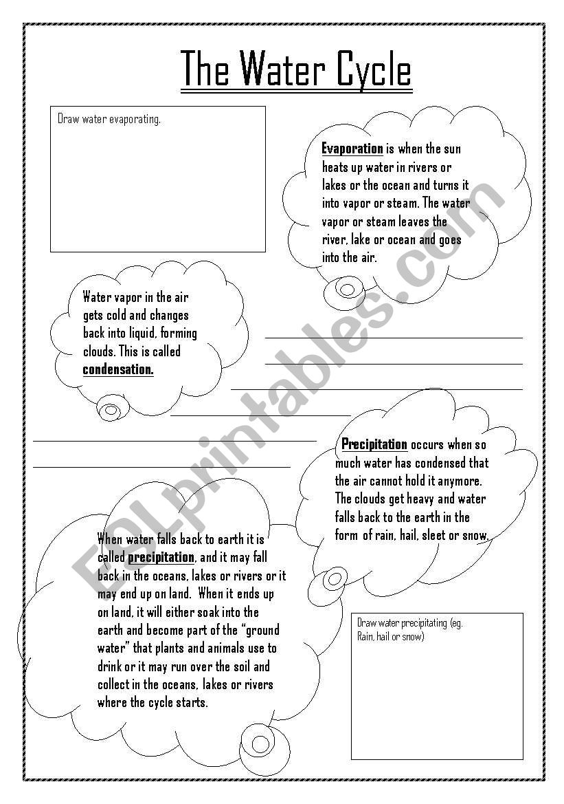 Water Cycle worksheet