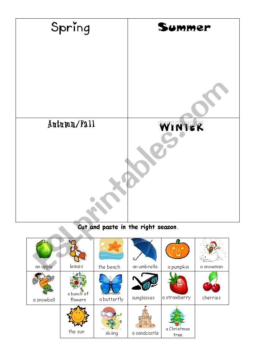 Seasons vocabulary  worksheet