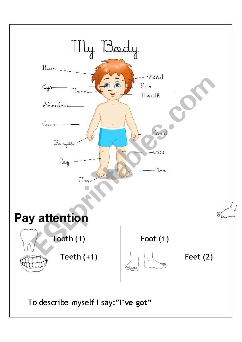 Body Parts worksheet