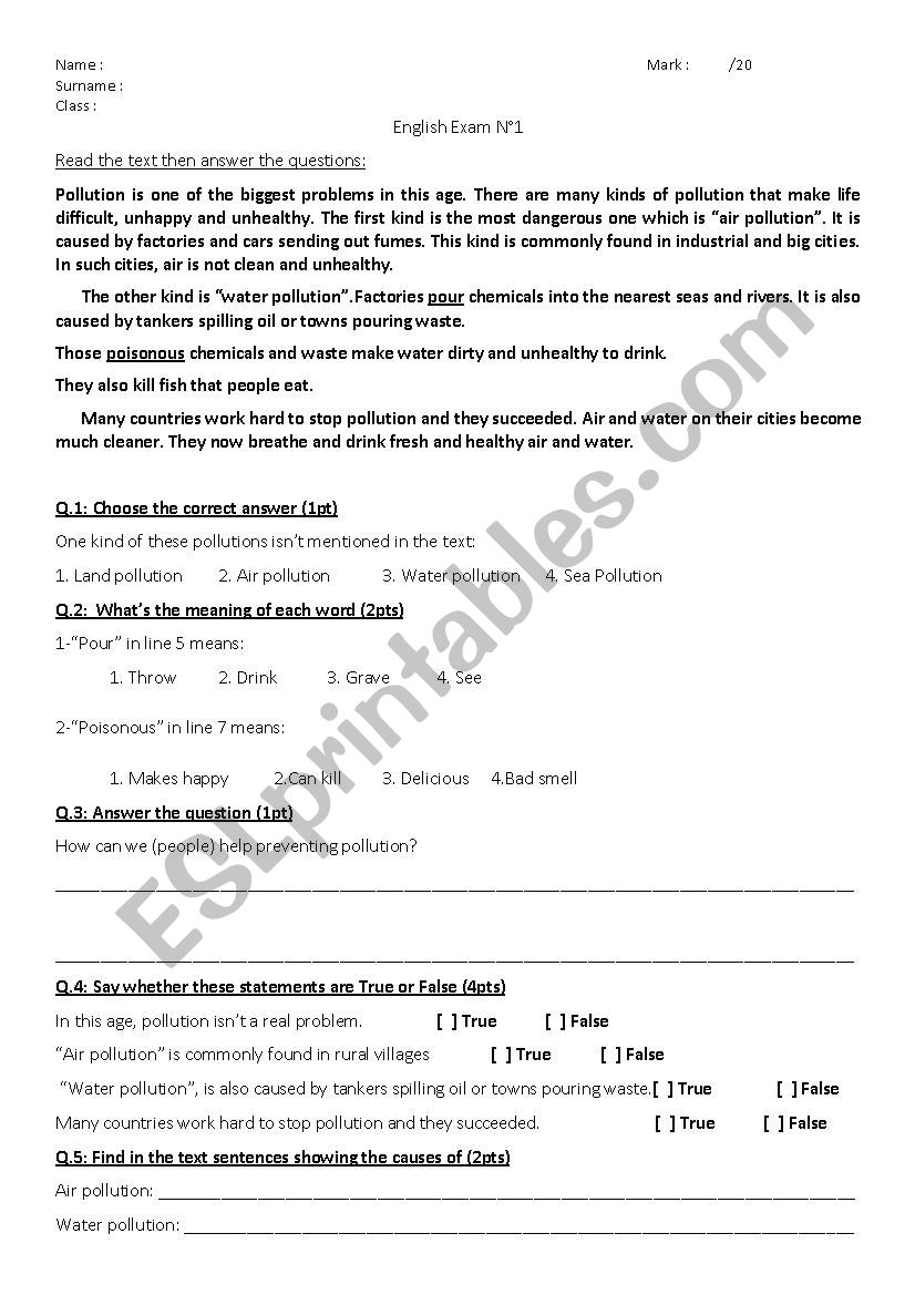 pollution worksheet