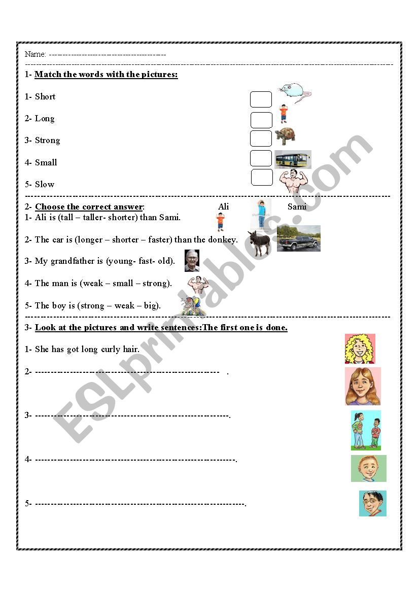 adjectives worksheet