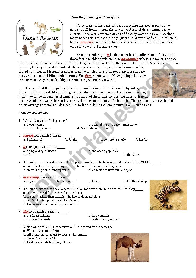 Desert Animals worksheet