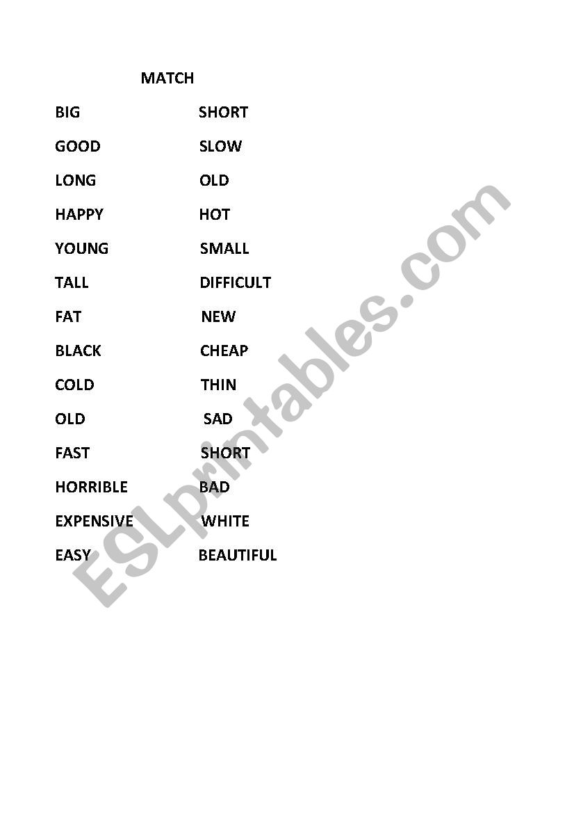 MATCHING EXERCISE worksheet