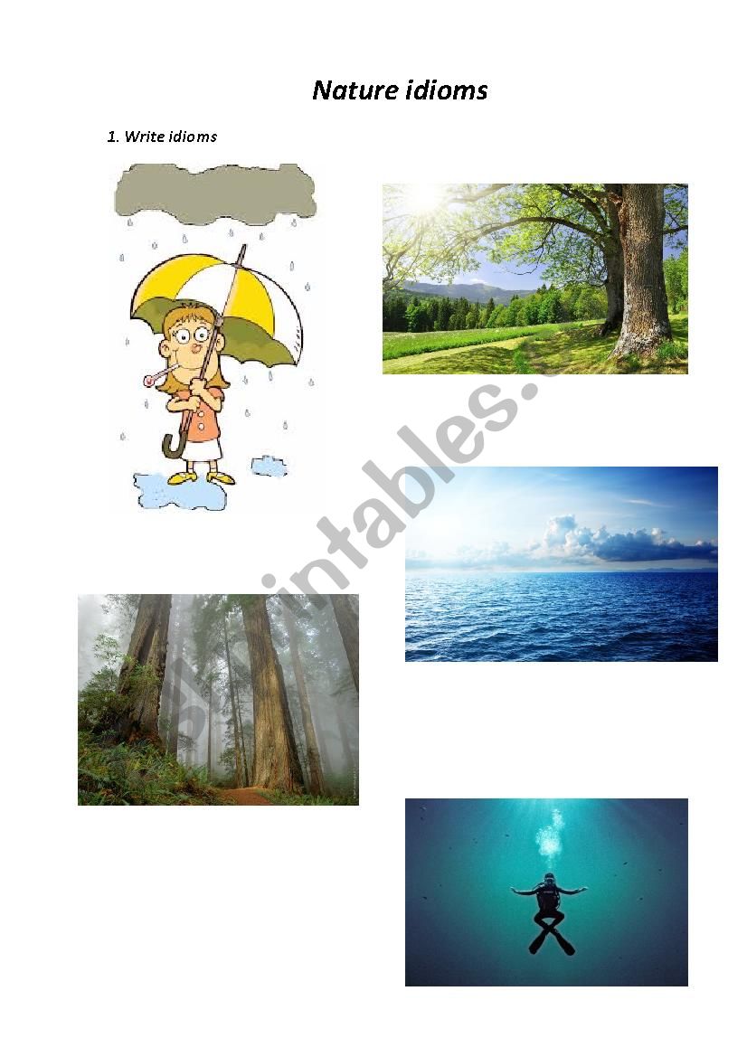 Nature idioms worksheet