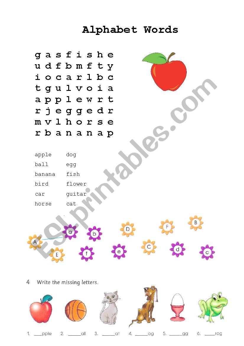 Alphabet Words Exercises worksheet