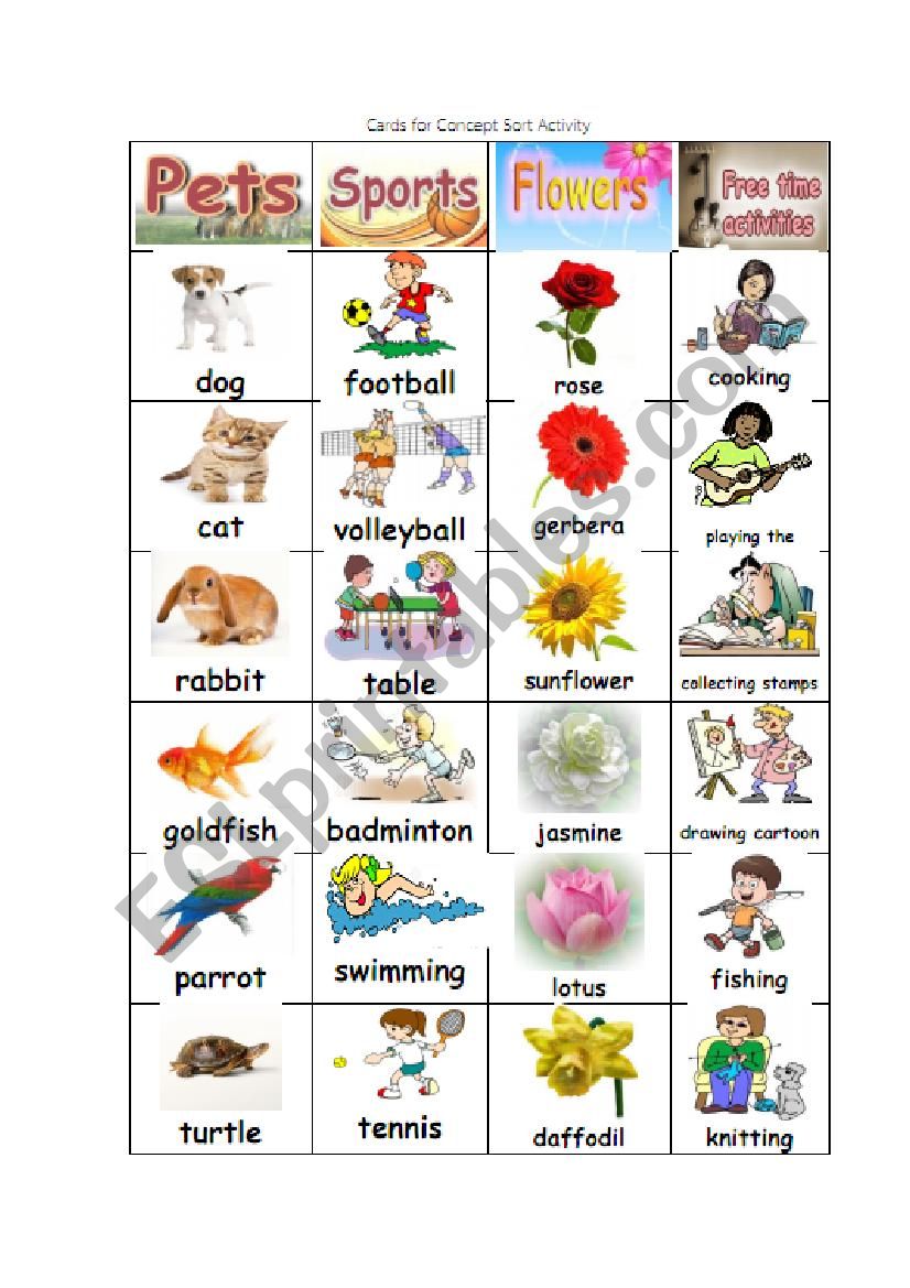 Concept sorts Activity2 worksheet