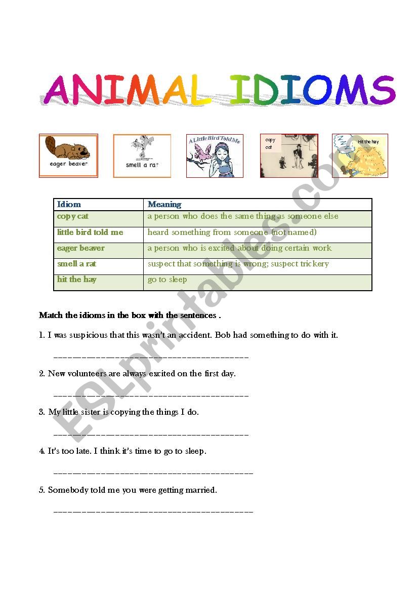 Animal idioms worksheet