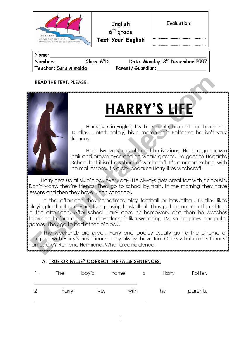 harry potter test worksheet