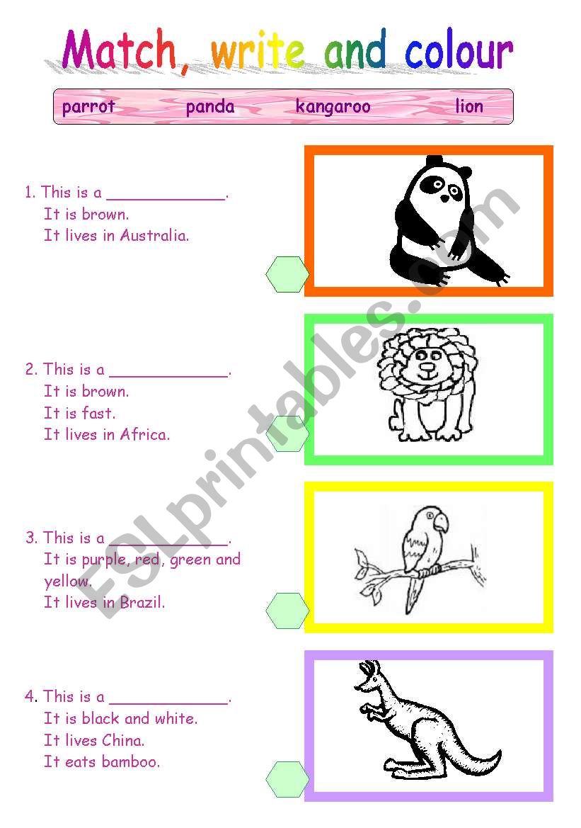 Animals  worksheet