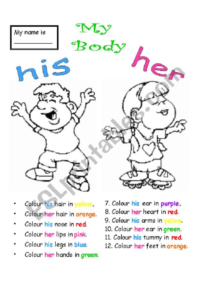 my-body-esl-worksheet-by-joanna4a4